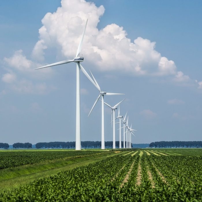A beautiful view of the wind turbines on a grass covered field captured in Holland